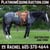 Horse ad