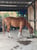 Horse ad