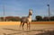 Annuncio cavallo