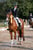 Horse ad