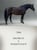 Annuncio cavallo