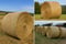 Annonce cheval