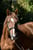 Anuncio de caballos