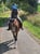 Horse ad