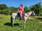 Anuncio de caballos