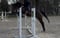 Horse ad