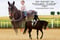 Horse ad