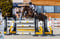 Annuncio cavallo