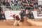 Horse ad