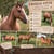 Annuncio cavallo
