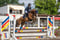 Horse ad