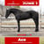 Paardadvertentie