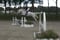 Annuncio cavallo
