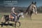 Horse ad