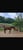 Horse ad