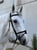 Horse ad