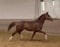 Horse ad