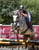 Annuncio cavallo