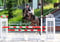Annonce cheval