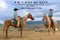 Horse ad