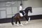 Horse ad