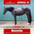 Horse ad