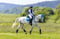 Horse ad