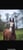 Horse ad