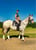 Horse ad