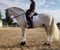 Annuncio cavallo