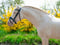 Paardadvertentie