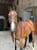 Horse ad