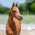 Horse ad