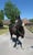 Horse ad