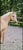 Annuncio cavallo
