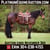 Horse ad