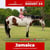 Paardadvertentie