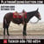 Horse ad