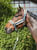 Paardadvertentie