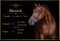 Annuncio cavallo