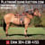 Horse ad