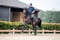 Annuncio cavallo