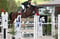 Annuncio cavallo
