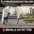 Horse ad