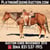 Horse ad