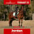 Horse ad