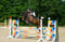 Annuncio cavallo