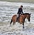 Horse ad