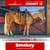 Horse ad