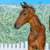 Paardadvertentie